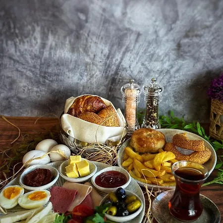 Elysian Airport & Restaurant מלון Arnavutkoy
